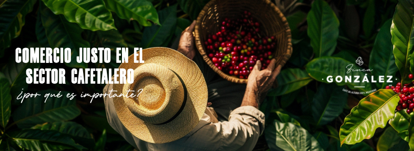 ¿Qué es el comercio justo en el sector cafetalero y por qué es importante?